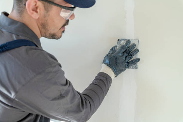 Best Drywall Crack Repair  in Sterling, GA