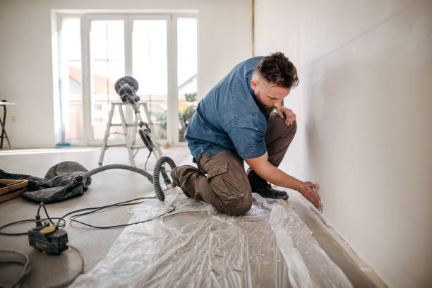 Best Ceiling Drywall Installation  in Sterling, GA